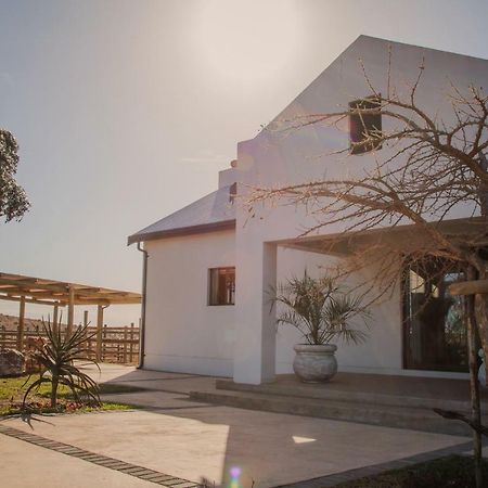斯韦伦丹 Melk Houte Bosch Guest Farm酒店 外观 照片